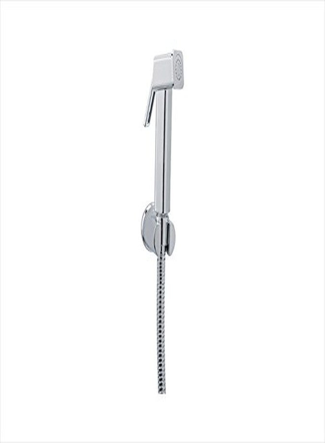 Parryware Euclid T9962A1 Brass Health Faucet with Hose and Hook (Silver, Pack of 1)